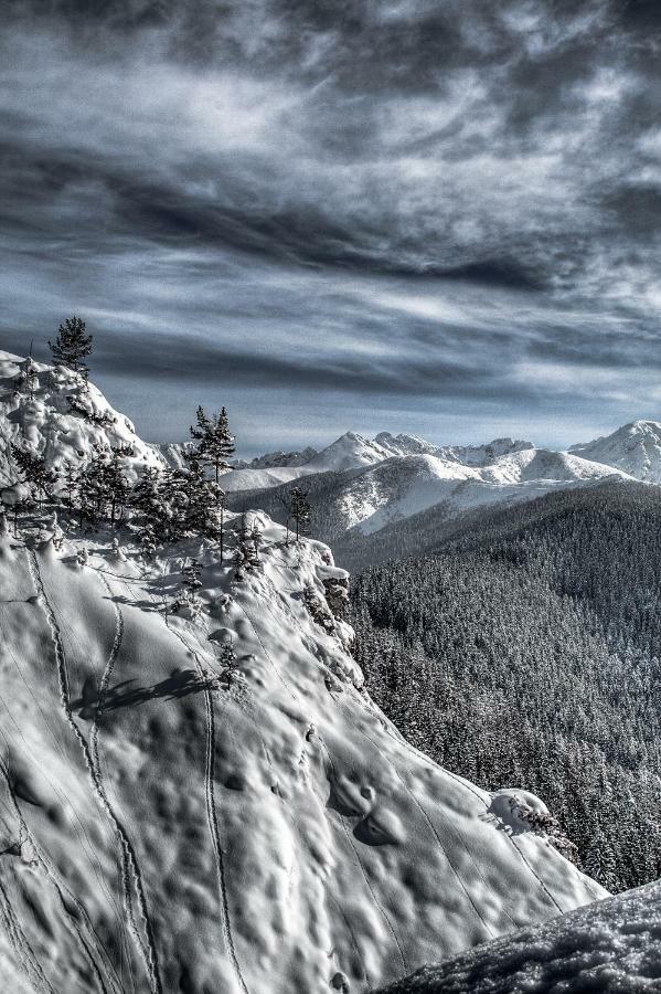 Willa Zbikowka Zakopane Exterior foto